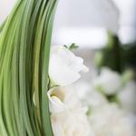 What Helps Make Imt Ghaziabad A Single Of India's Top Rated Mba Institutes